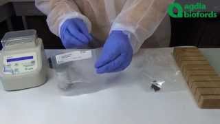 How to perform an isothermal amplification test with AmplifyRP [upl. by Abbye]