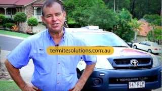 Termite Treatments Explained by Termite Solutions Queensland [upl. by Lehcin]