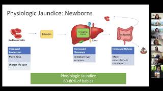 Webinar Neonatal Jaundice and Hyperbilirubinemia [upl. by Wilek]