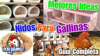 Ideas para hacer nidos caseros ¿Como hacer nidos para gallinas tips Muy Bien Explicado Nido Ideal [upl. by Pier435]