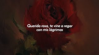 Cami  querida rosa『Letra』🌹🕊 [upl. by Dionisio]