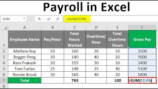 Easy Payroll System In Excel [upl. by Durtschi202]