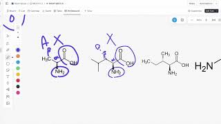 AAMC OFFICIAL FL5 Free Scored Practice BB Discrete Questions 1114 Explanations [upl. by Imena]