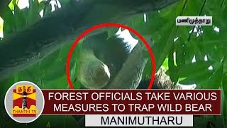 Forest Officials takes Various Measures to Trap Wild Bear at Manimutharu  Thanthi TV [upl. by Loma]