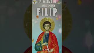 Viața Sf APOSTOL FILIP proniaortodox ortodox ortodoxia vietilesfintilor diasporaromaneasca [upl. by Aohk439]