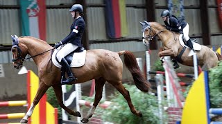 Reitabzeichen Prüfung für die nächste Leistungsklasse  Lehrgang im Reitsportzentrum Brundiers [upl. by Amitak]