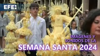 Imágenes y sonidos de la Semana Santa 2024 en España [upl. by Baron]