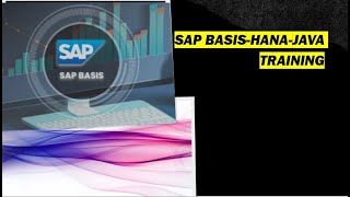 SAP BASIS  HANAJAVA  DEMO [upl. by Emilee601]