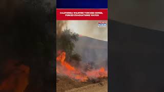 Strong Winds Fuel Rapid Spread Of Wildfires In Southern California Homes Destroyed Watch shorts [upl. by Noyart]