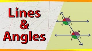 Lines and Angles  Geometry  Math  Letstute [upl. by Janicki641]