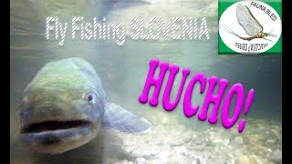 HuchoHucho Fishing  Slovenia [upl. by Nilac]