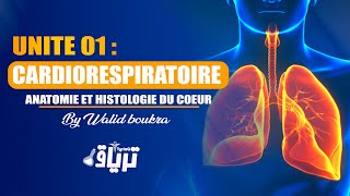 2ème année TMC CAMP  Unité 1 cardiorespiratoire  ANATOMIE et HISTOLOGIE du cœur  By Walid Boukra [upl. by Laing159]