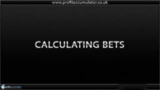 Matched Betting Basic Training Tutorial with Profit Accumulator [upl. by Dlanod]