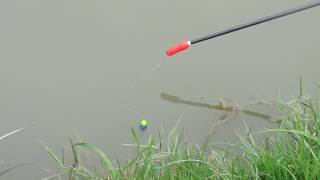 Margin Fishing on Match Lake Cottington Lakes Kent [upl. by Sordnaxela307]