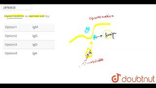 Opsonization is carried out by [upl. by Enyrb]