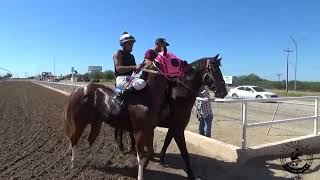 CARRERA 1 GANA LA COQUETA C CACHORROS AL NUEVO TEMERARIO C HIDALGO A 200 YARDAS [upl. by Joice]