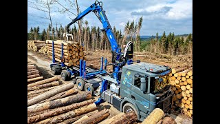 🌲SCANIAClip • Scania R540 • LoggingTruck • Timbertruck • Mause HolzTransporte • Action • Part3🌲 [upl. by Raviv]