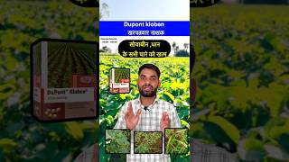 क्लोबेन खरपतवार नाशक की पूरी जानकारी  Corteva Kloben herbicide  Soybean dhan shorts farming [upl. by Ettenav]