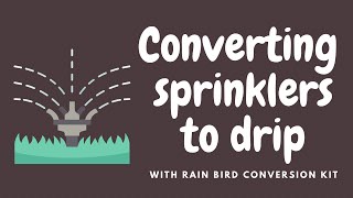 ITS EASIER THAN YOU THINK Converting a sprinkler system zone to drip irrigation [upl. by Mitchiner]