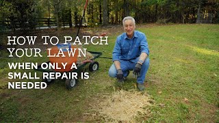 How to Patch Your Lawn When a Small Repair is Needed [upl. by Ylsew]