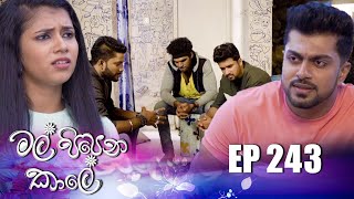 Mal Pipena Kale  Episode 243 08th September 2022 [upl. by Amer]