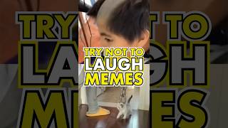 TRY NOT TO LAUGH 🤣 MEMES 🤣 Daily Funny Videos pt213 [upl. by Ciapas]