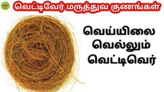 Vettiver Citronella Benefits in Tamil  வெட்டிவேர்றின் மருத்துவ பலன்கள்  7am Suvai [upl. by Airdnahc]