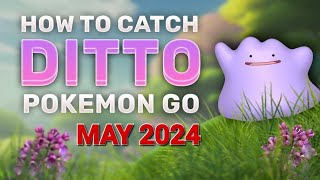 Ditto disguises for May 2024 in Pokémon GO [upl. by Stormi]