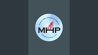 MHP Equestrian Videos is live [upl. by Etnoj]