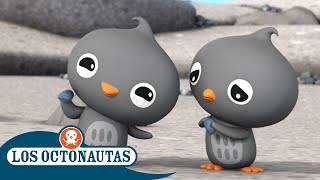 DreamWorks Madagascar en Español  Lo Mejor de los Pingüinos Parte 2  Dibujos Animados para Niños [upl. by Reivax]