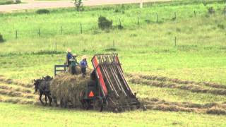 The Amish Way of Making Hay [upl. by Benetta]