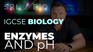 IGCSE Biology Required Practical pH and Enzymes with Amylase and Starch [upl. by Ynnor]