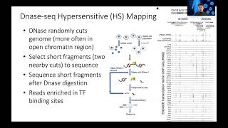 STAT115 Chapter 135 Introduction to DNaseseq and ATACseq [upl. by Bernard921]