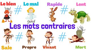 Apprendre les mots contraires en français [upl. by Pammie]