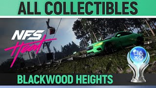 Need for Speed Heat  All Collectibles  Blackwood Heights 🏆  Locations Guide [upl. by Leterg]