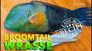 Broomtail Wrasse  Clean Fillet amp Cook [upl. by Handbook989]