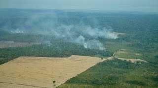 Tracking Amazon Deforestation [upl. by Johann395]