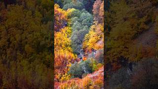 Autumn in the Villages of Northern Iran [upl. by Azarria]