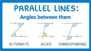 Parallel Lines And Angles Between Them [upl. by Dellora]