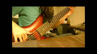 Necrophagist  Stabwound bass cover [upl. by Melone]