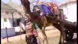 Sindhi Song Waj Nagara [upl. by Eelydnarb]