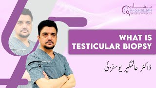 What is Testicular Biopsy by Dr Alamgir Yousafzai  Peshawar Fertility amp IVF Center [upl. by Yelyr]