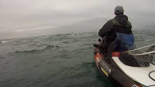 Jigging e vinil Baila XL barra do Tejo pesca de kayak Portugal [upl. by Atinrev984]