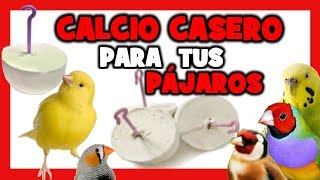 COMO HACER BLOQUES DE CALCIO CASEROS para CANARIOS y PAJAROS EXOTICOS 🐤 [upl. by Nimzay272]