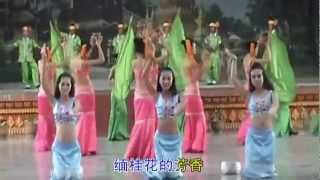 Dehong Dai Song  Crowded Shanland Dai  Chinese subtitle [upl. by Auqinehs]