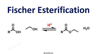 Fischer Esterification [upl. by Lletnwahs627]