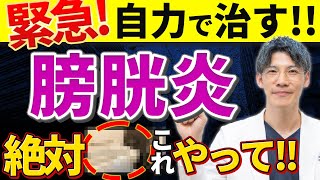 【医者いらず！】膀胱炎を自力で簡単に治す方法について泌尿器科専門医が解説 [upl. by Ycniuqed]