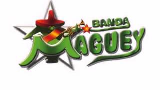 banda maguey la prendita [upl. by Goldwin]