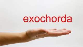 How to Pronounce exochorda  American English [upl. by Aileme]