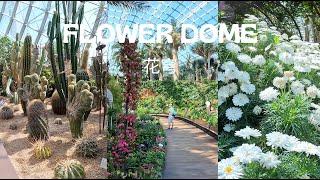 Flower Dome  Gardens By The Bay Singapore Travel Guide 2023 4K 花穹新加坡 旅游景點 [upl. by Shayna]